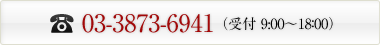 03-3873-6941（受付9:00～18:00）